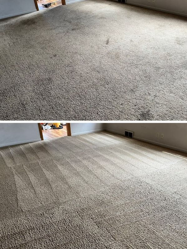 Carpet Cleaning Results 